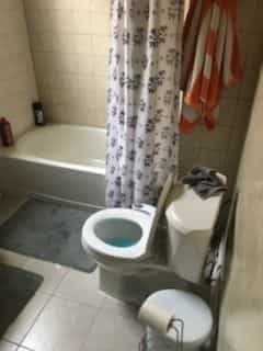 Picture of undefined, number 24