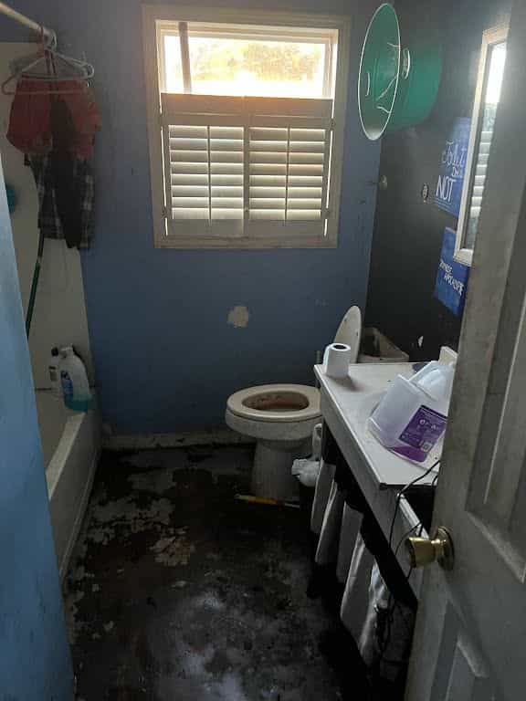 Picture of undefined, number 18