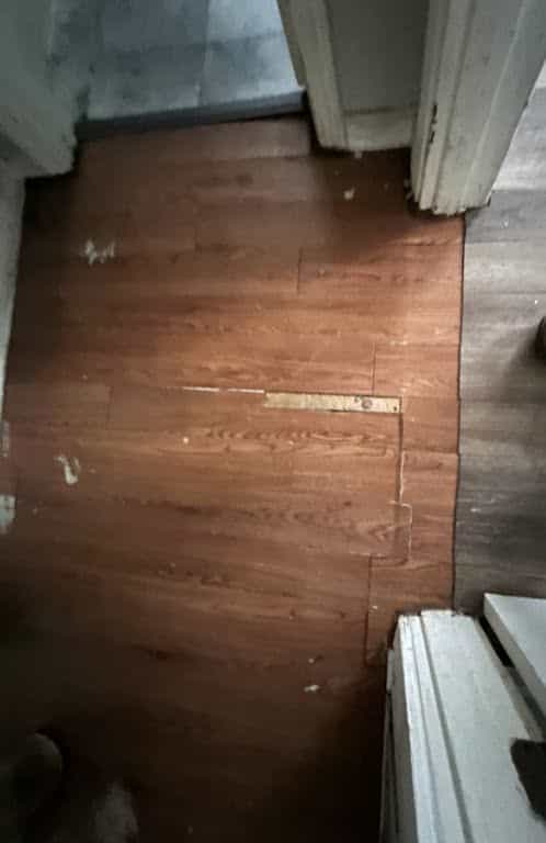 Picture of undefined, number 24