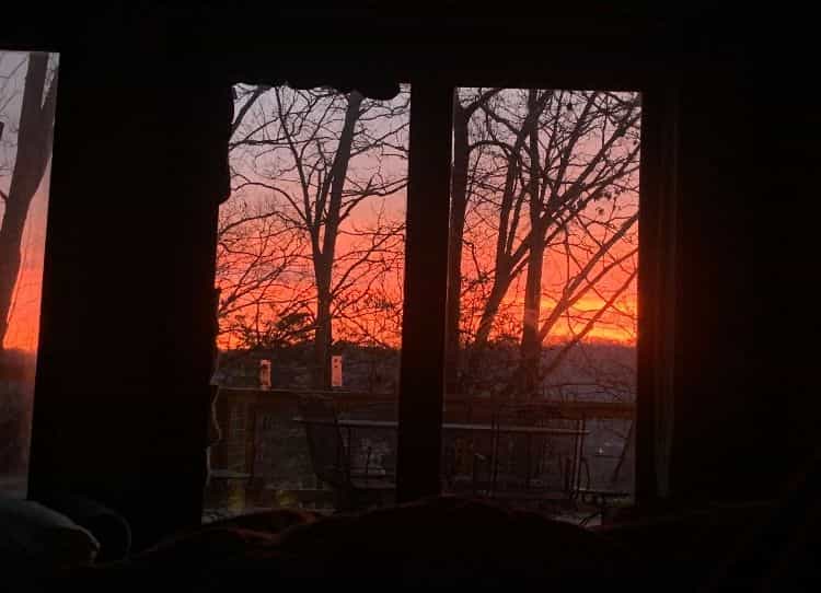 Picture of undefined, number 12