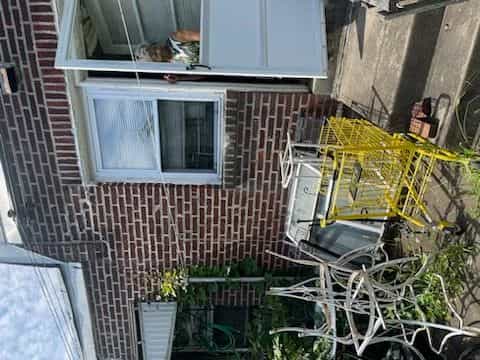 Picture of undefined, number 6