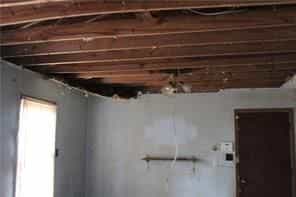 Picture of undefined, number 5