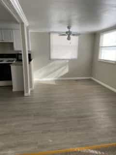 Picture of undefined, number 5