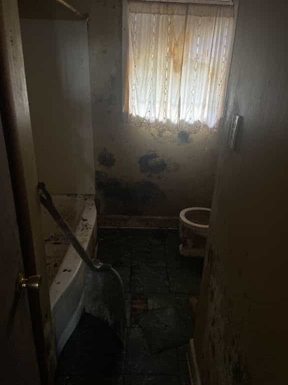 Picture of undefined, number 18