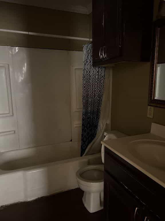 Picture of undefined, number 17