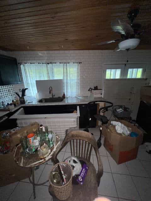 Picture of undefined, number 4