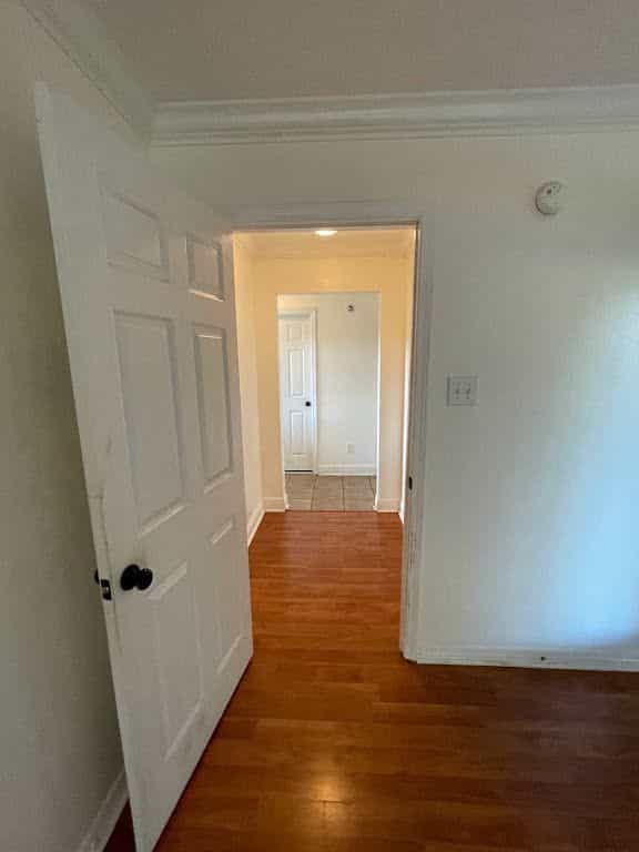 Picture of undefined, number 36