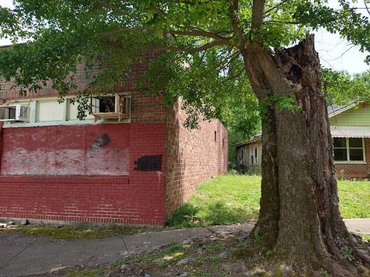Picture of undefined, number 6