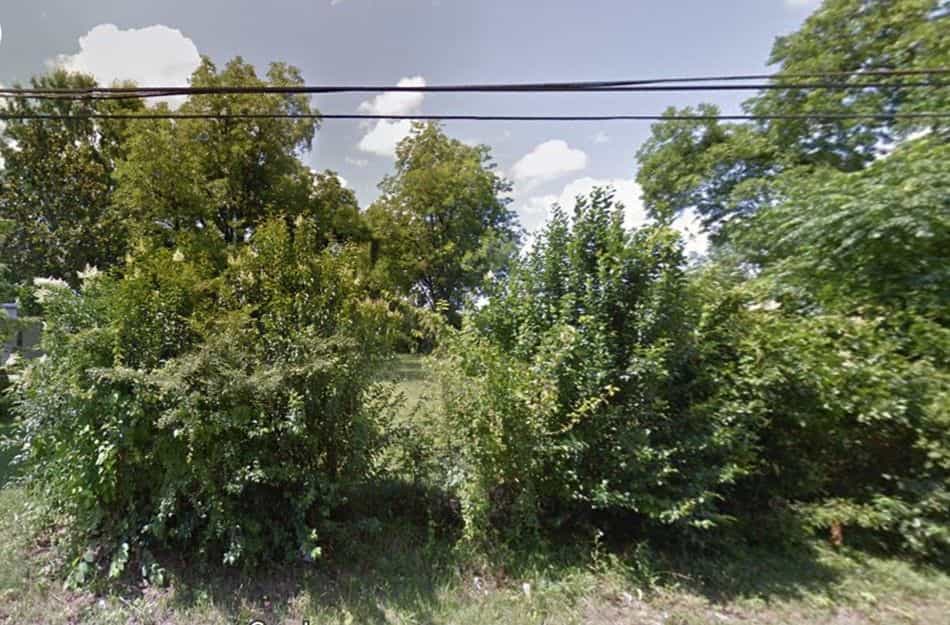 Picture of undefined, number 0