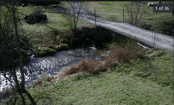 Picture of undefined, number 24