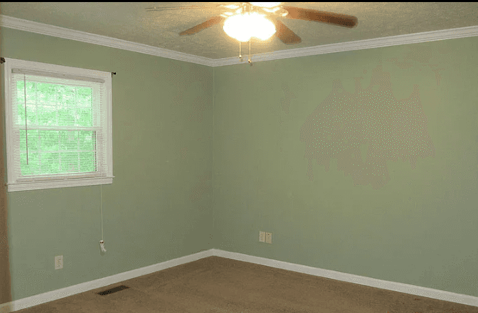 Picture of undefined, number 5