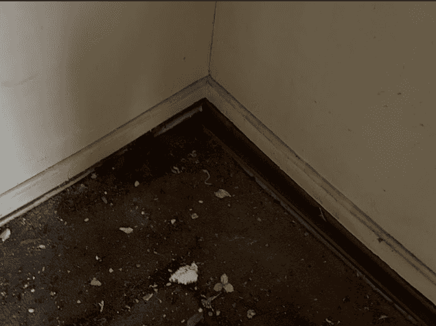 Picture of undefined, number 3