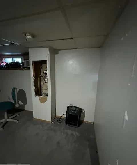 Picture of undefined, number 11