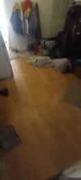 Picture of undefined, number 5