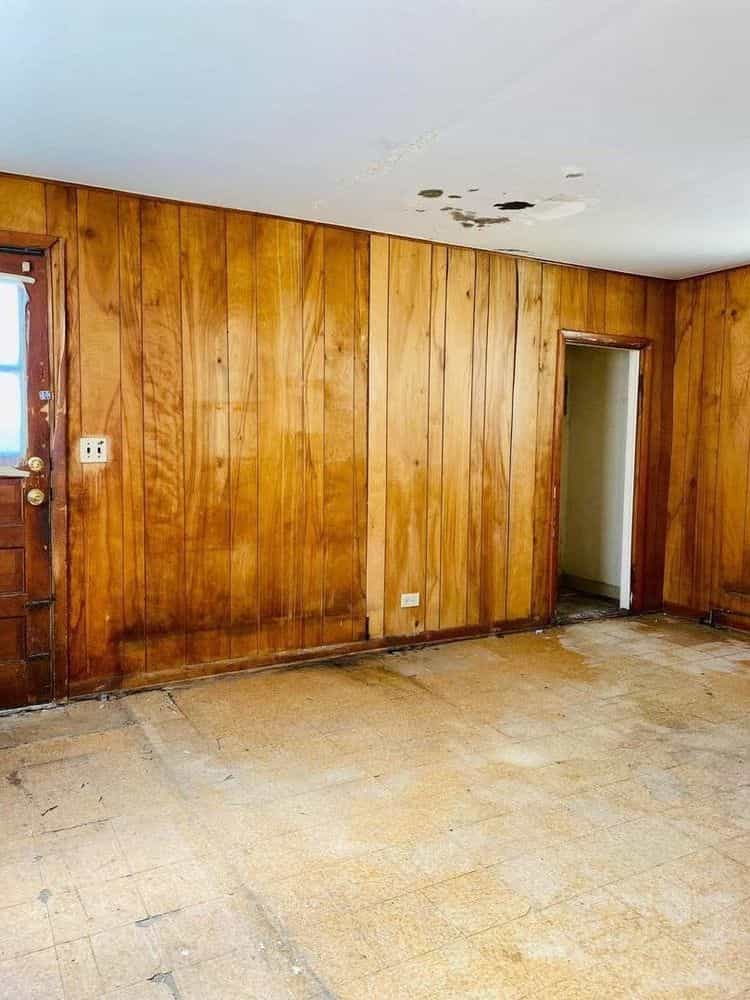 Picture of undefined, number 12