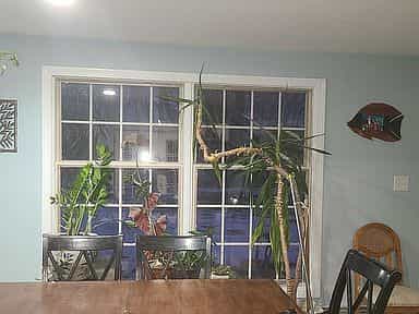 Picture of undefined, number 20