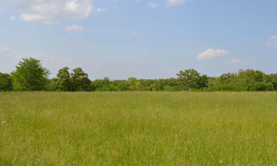 Picture of undefined, number 16