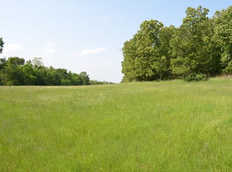 Picture of undefined, number 14