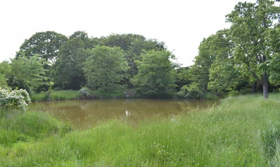 Picture of undefined, number 9