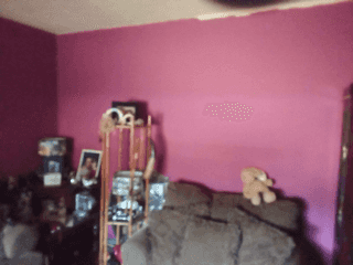 Picture of undefined, number 10
