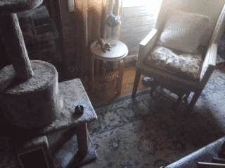 Picture of undefined, number 13