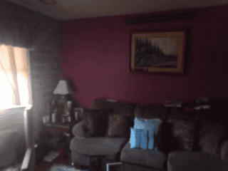 Picture of undefined, number 17
