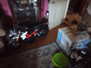 Picture of undefined, number 22