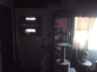 Picture of undefined, number 24