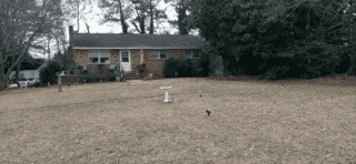 Picture of undefined, number 0