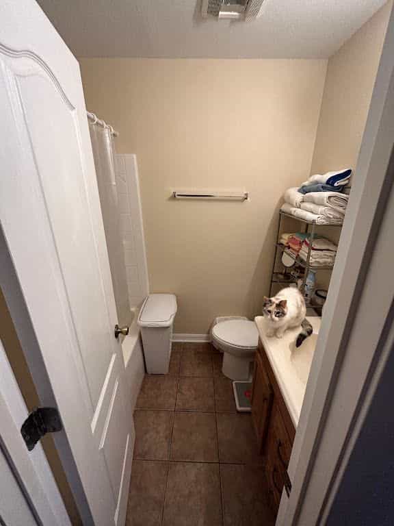 Picture of undefined, number 45