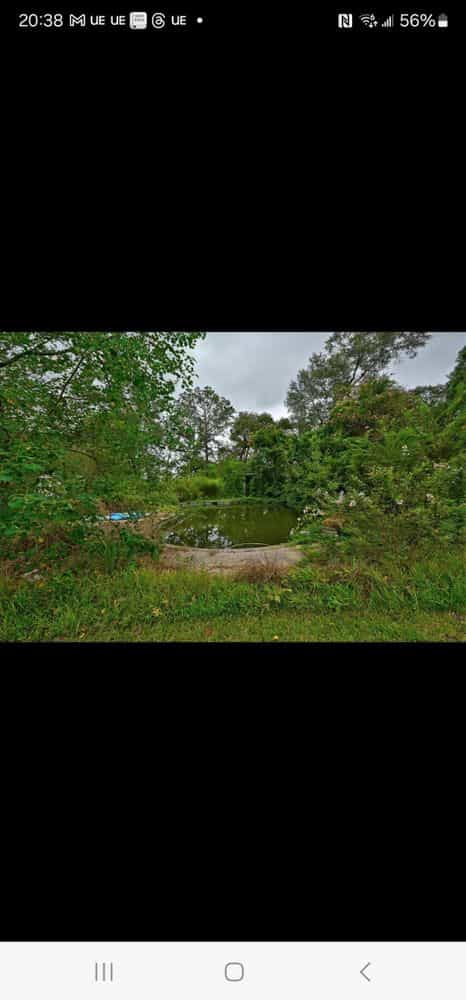 Picture of undefined, number 21
