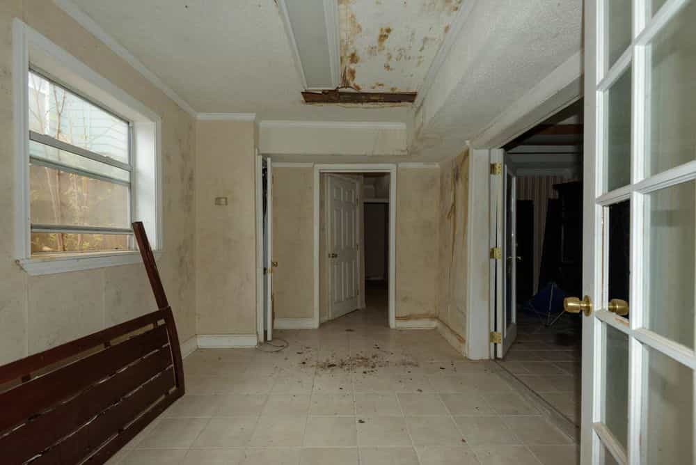 Picture of undefined, number 8