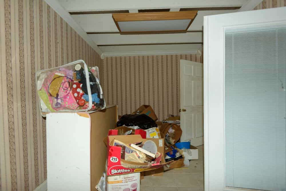Picture of undefined, number 11