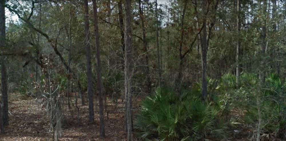 Picture of undefined, number 3
