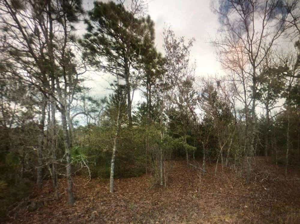 Picture of undefined, number 4