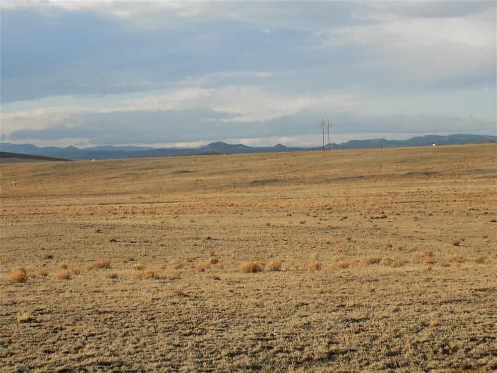 Picture of undefined, number 6