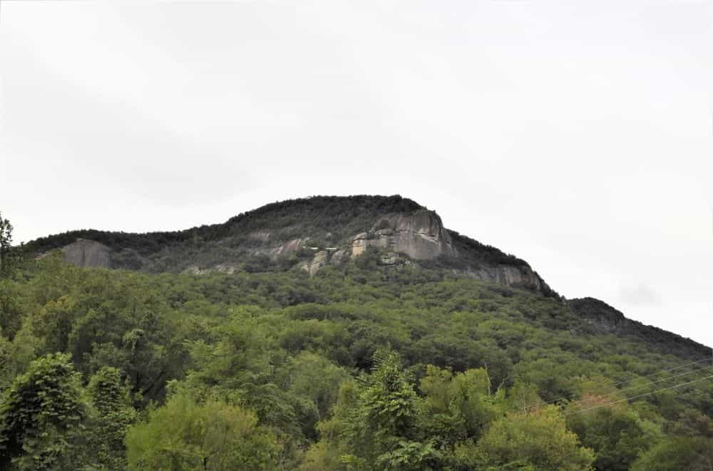 Picture of undefined, number 13