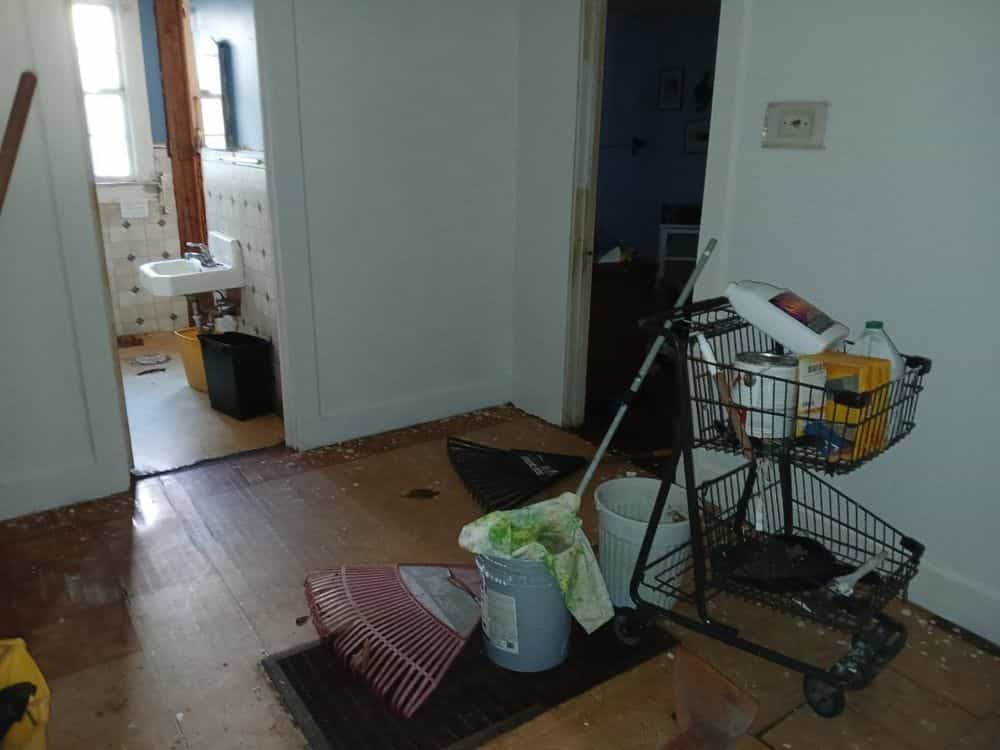 Picture of undefined, number 17
