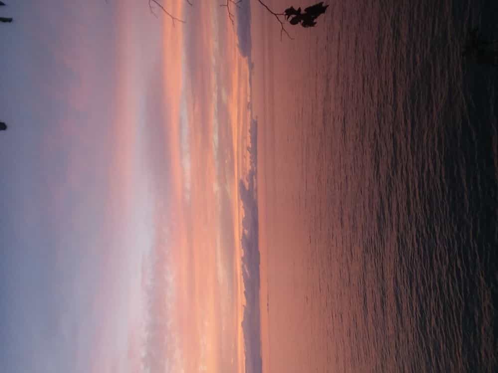 Picture of undefined, number 2