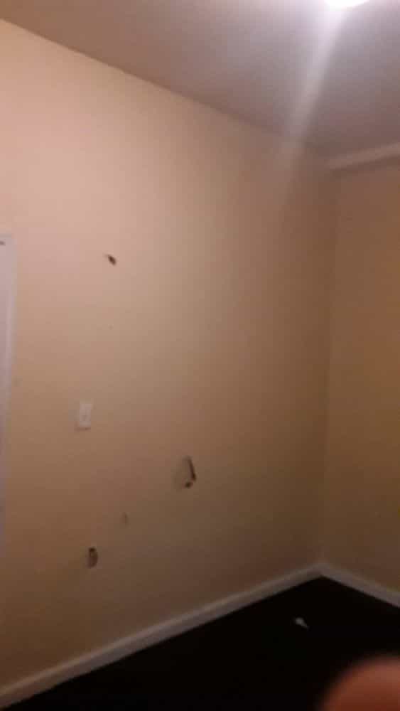 Picture of undefined, number 3
