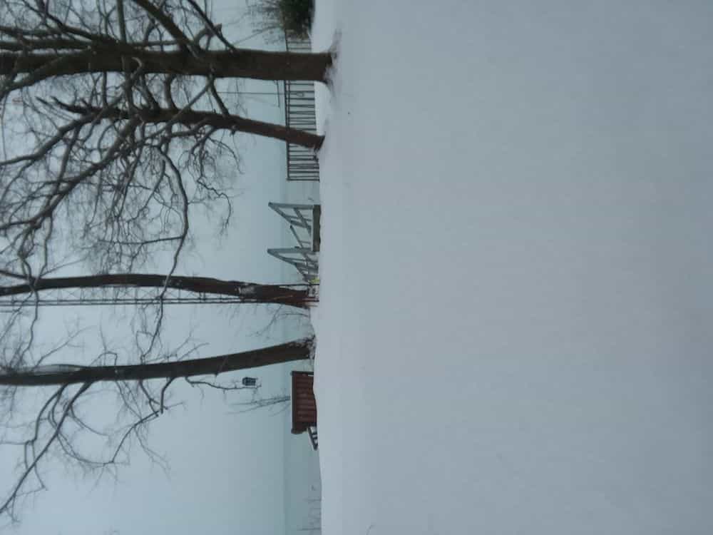 Picture of undefined, number 0