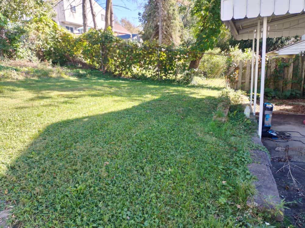 Picture of undefined, number 6