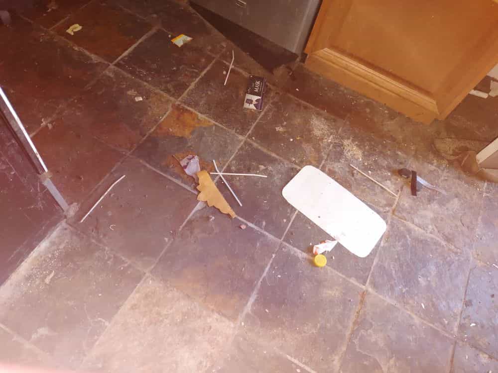 Picture of undefined, number 15