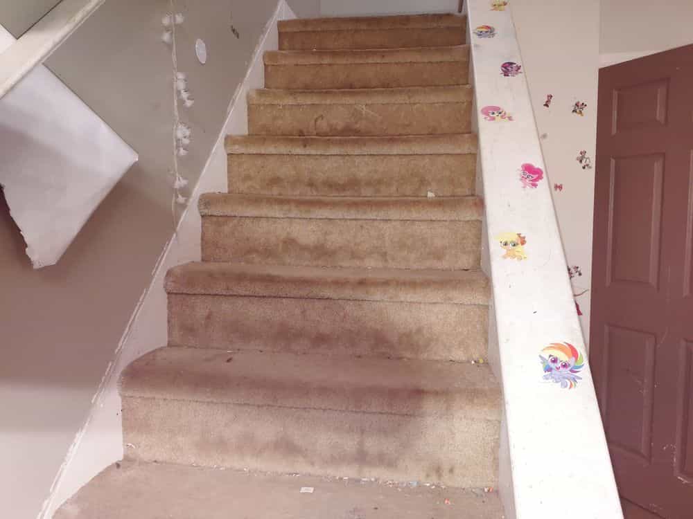 Picture of undefined, number 19