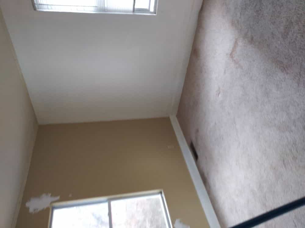 Picture of undefined, number 7