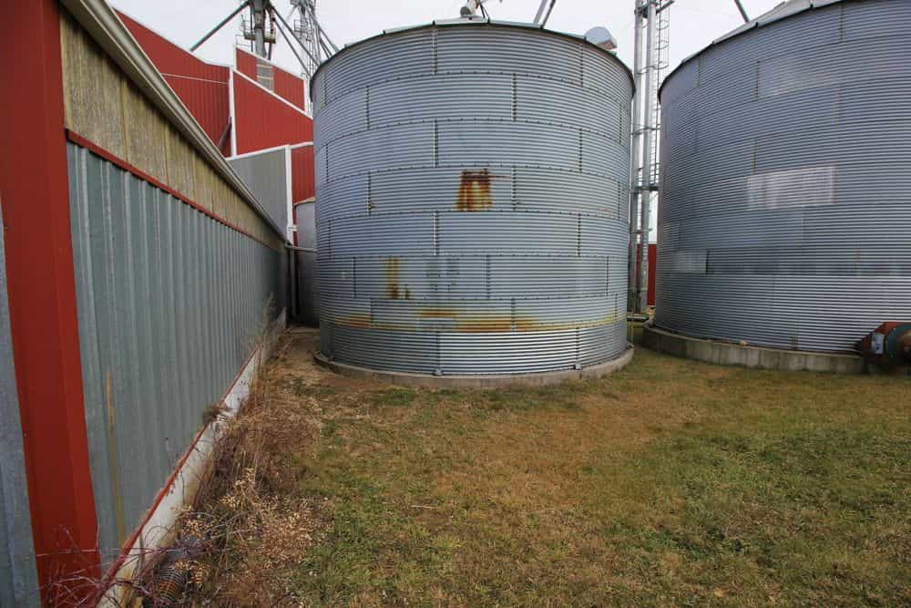 Picture of undefined, number 12