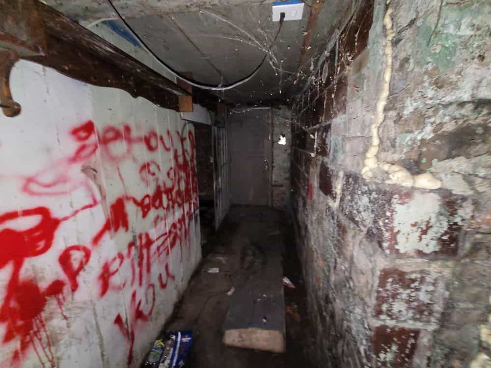 Picture of undefined, number 5