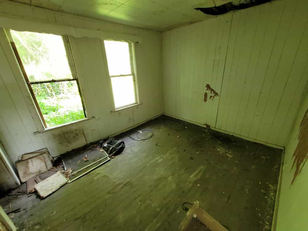 Picture of undefined, number 13