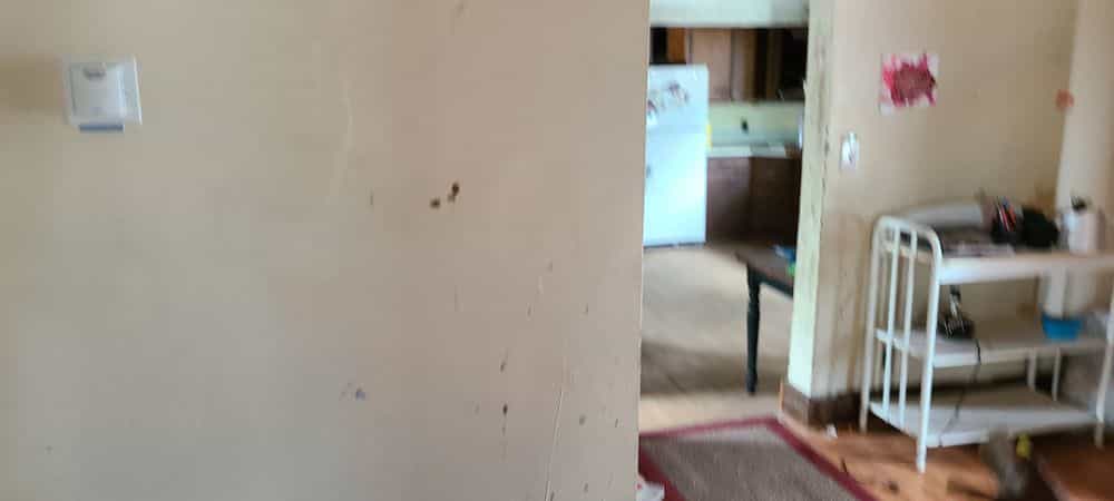 Picture of undefined, number 38