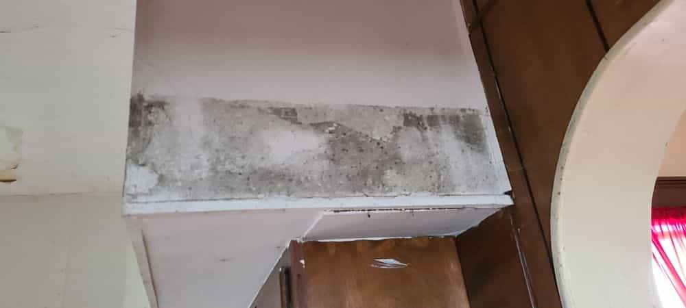Picture of undefined, number 20